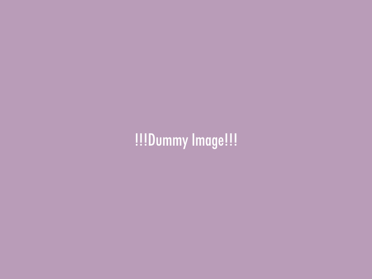 企業情報について