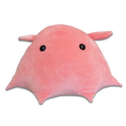 メンダコ